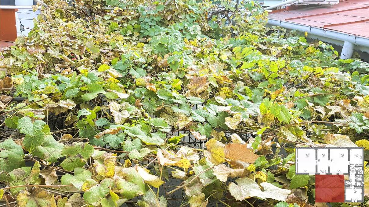 str. Tudor Stefan nr.25, Dorobanti, Bucuresti